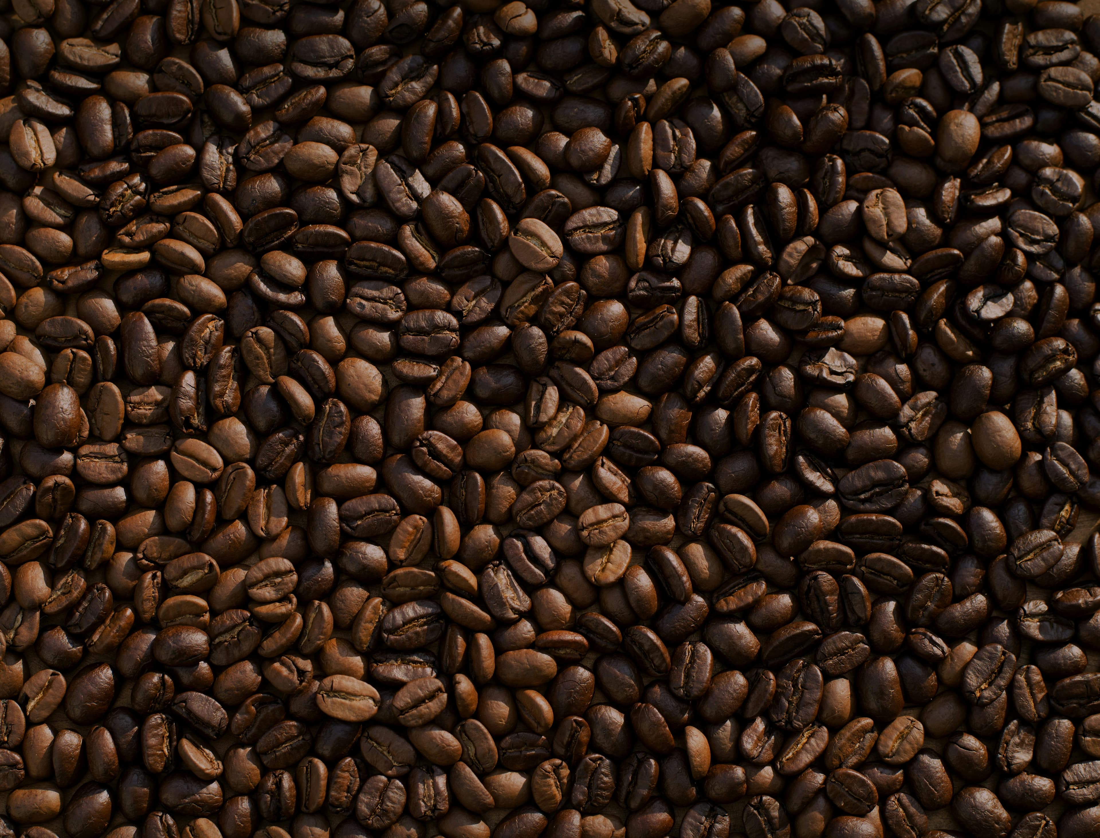 Coffee beans processing