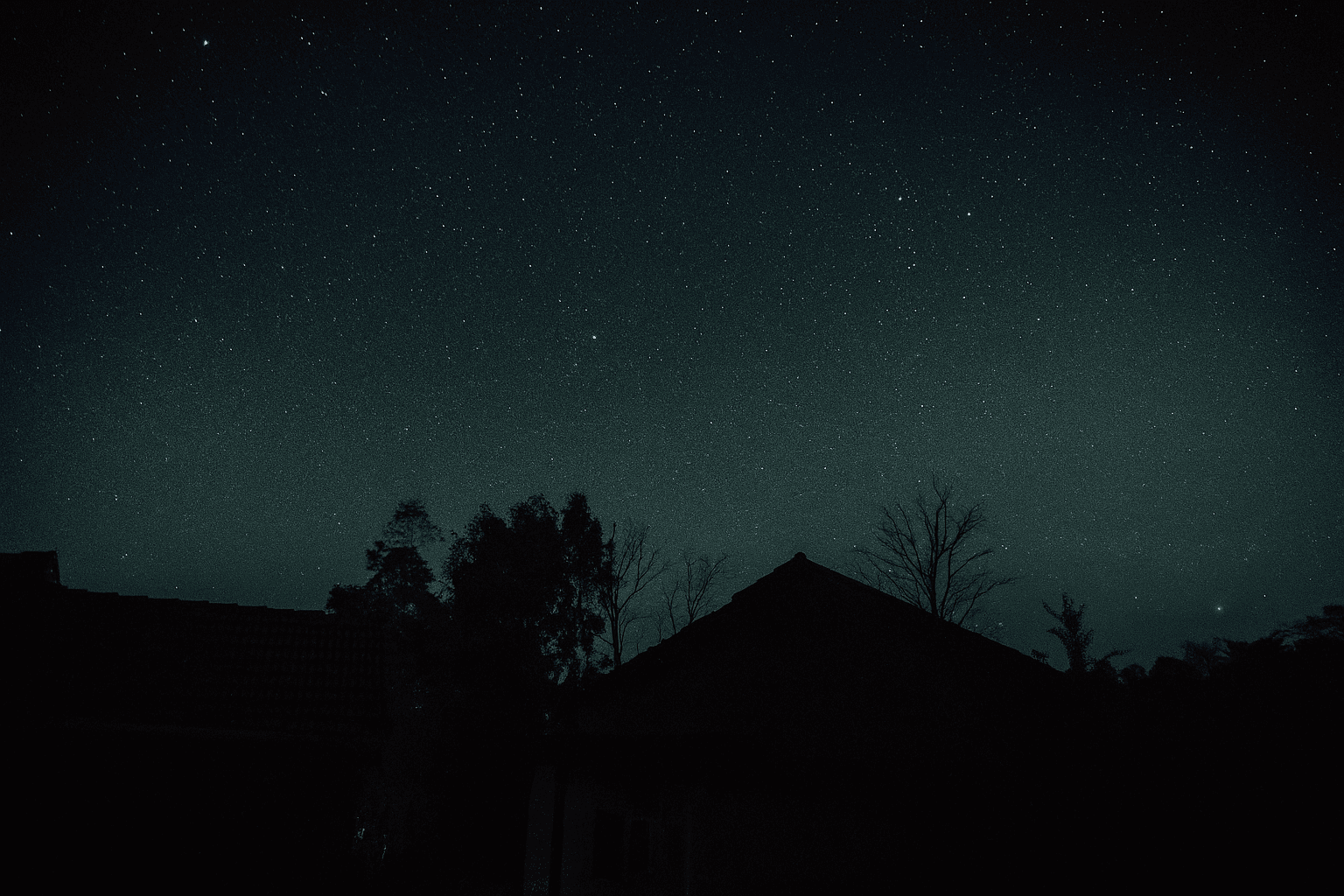 Starry Nights: Mumbai